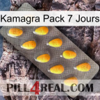 Kamagra 7 Day Pack cialis1